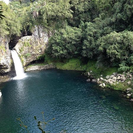 Le Beau Vallon 1- Jacuzzi Privatif Et Piscine Chauffee Partagee Saint-Benoît Dış mekan fotoğraf