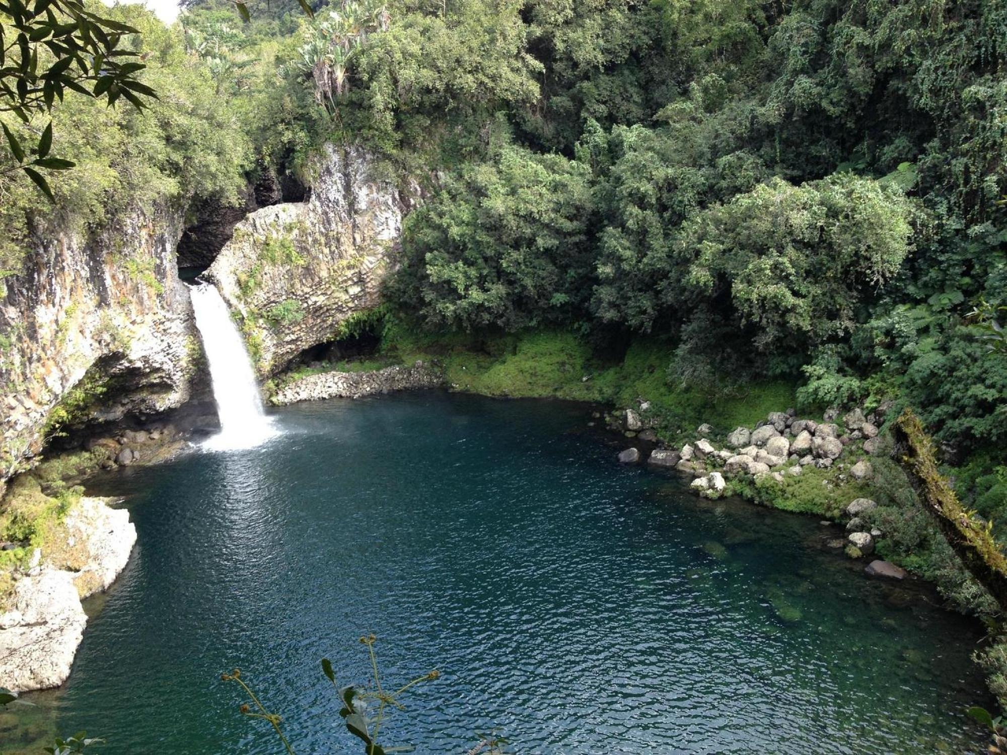 Le Beau Vallon 1- Jacuzzi Privatif Et Piscine Chauffee Partagee Saint-Benoît Dış mekan fotoğraf